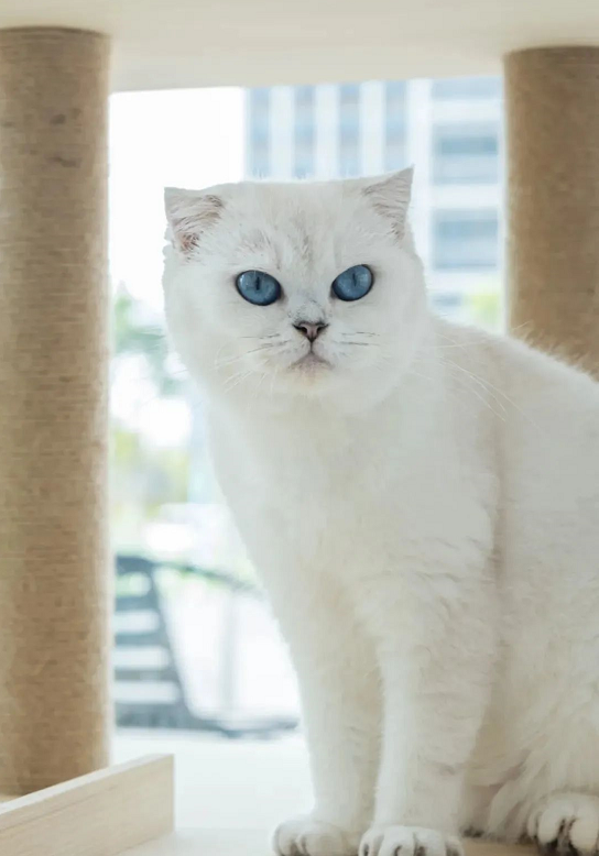 1665389839173773.png 1665389839173773.png